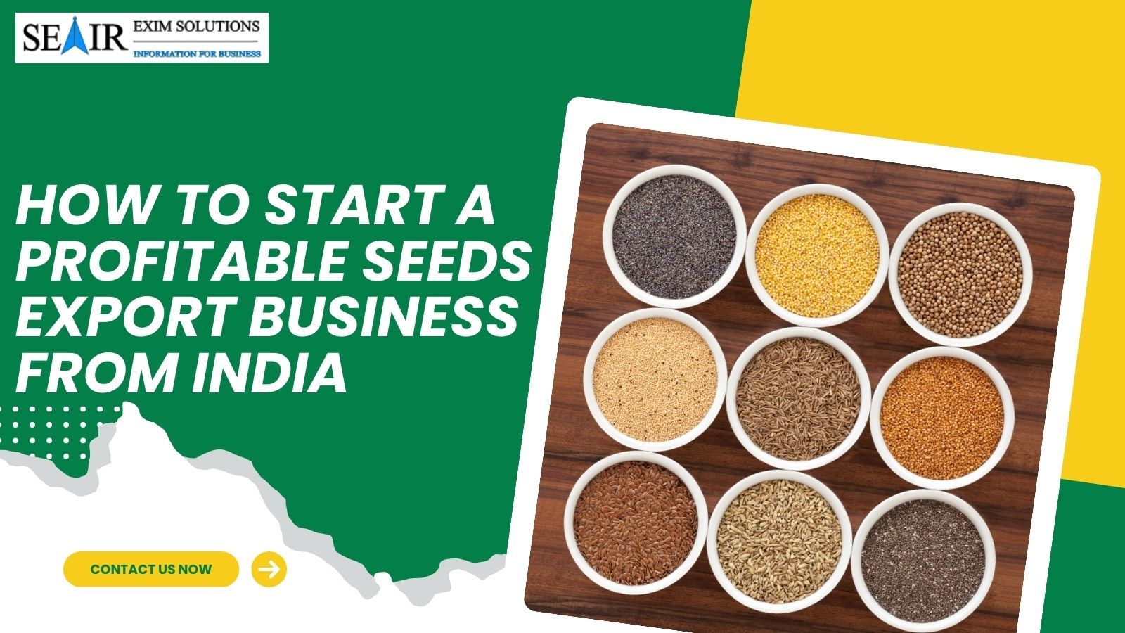 How to Start a Profitable Seeds Export Business from India